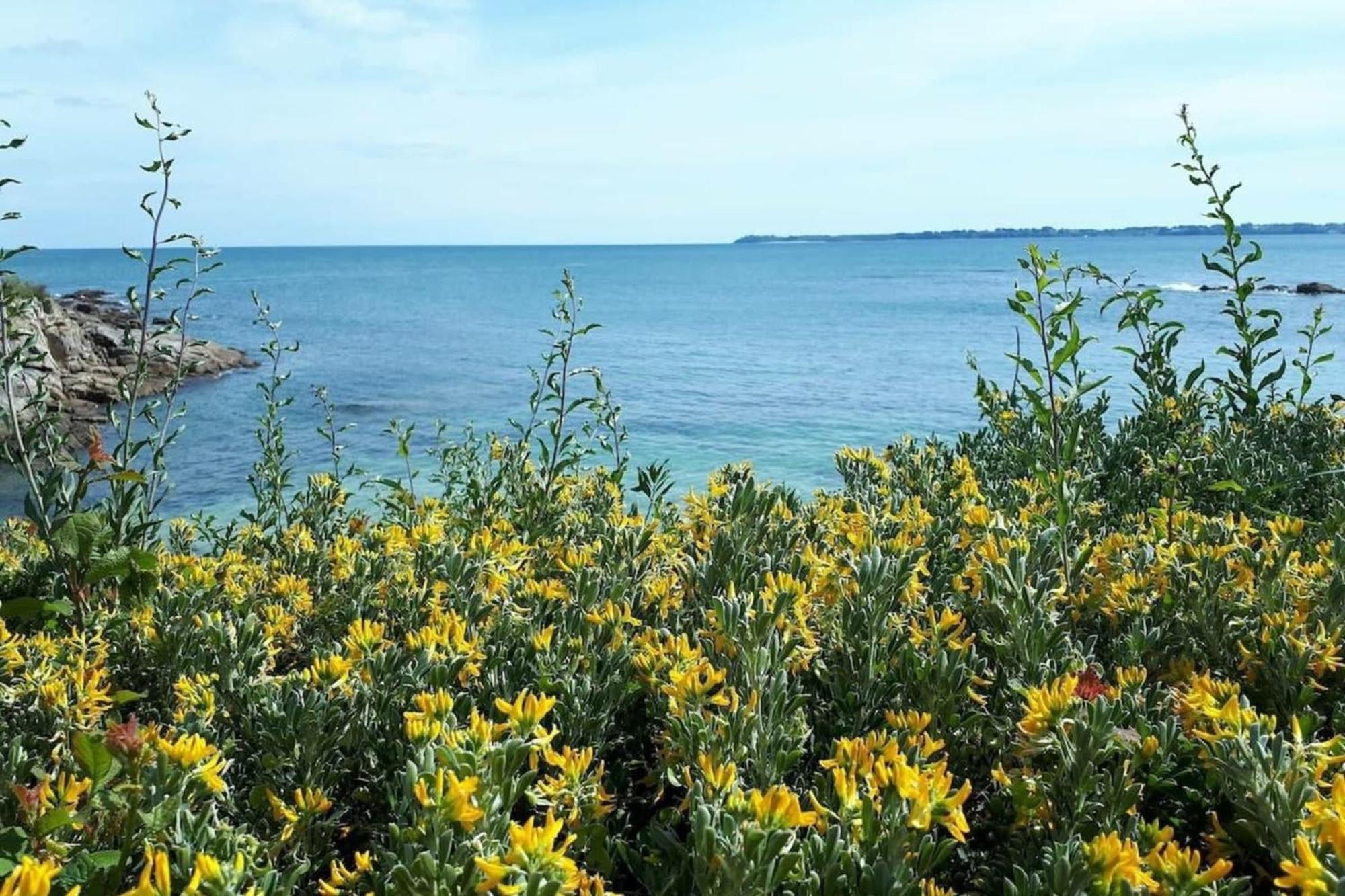 Spacieux Appartement Neuf De Standing Hyper Cosy Larmor-Plage Exterior foto